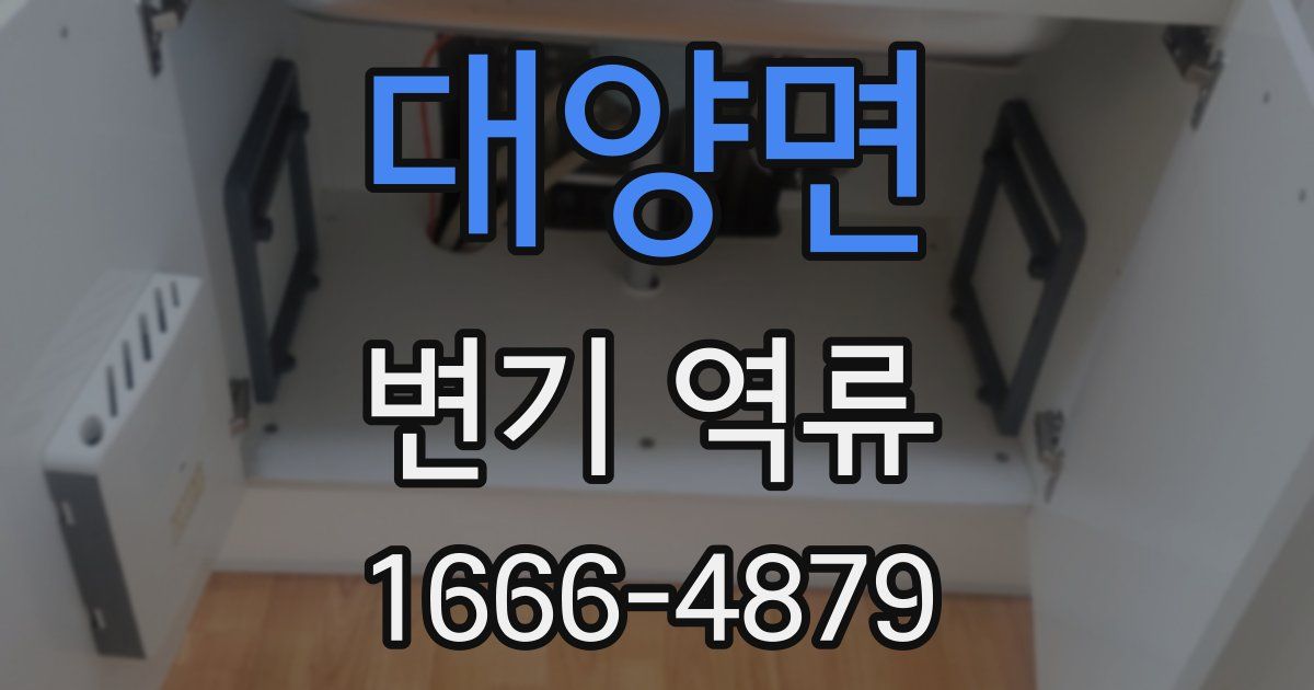 대양면 변기 역류