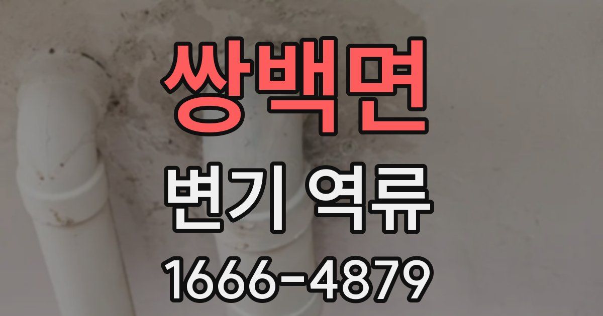 쌍백면 변기 역류
