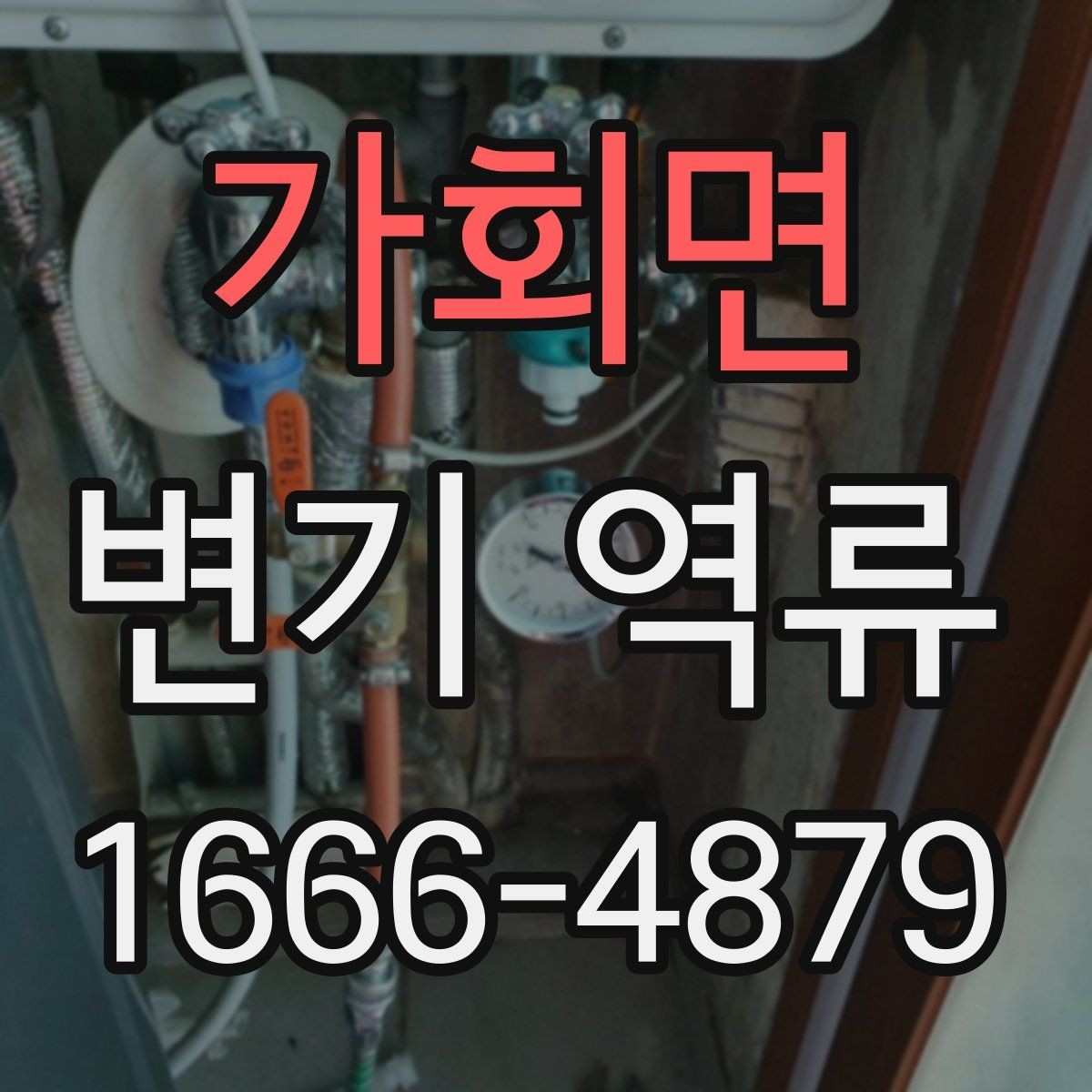 가회면 변기 역류 원인부터 대처까지 한눈에 보기
