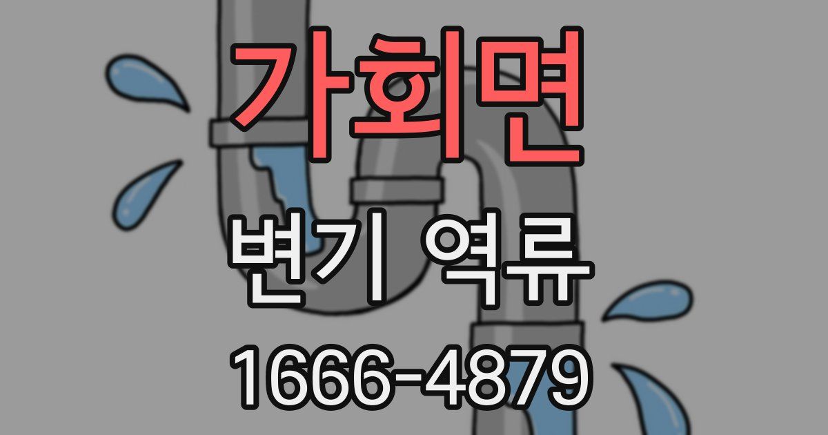 가회면 변기 역류