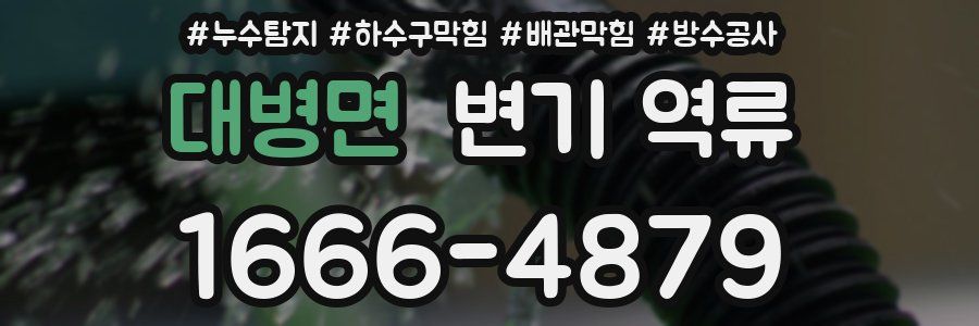 대병면 변기 역류