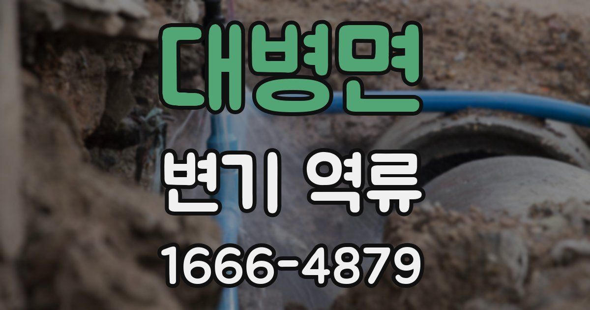 대병면 변기 역류