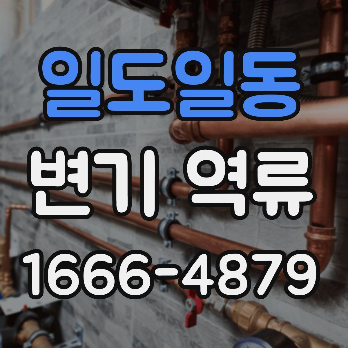 일도일동 변기 역류
