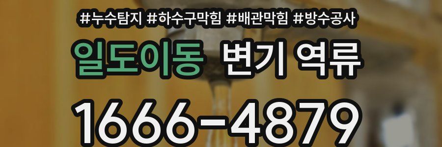 일도이동 변기 역류