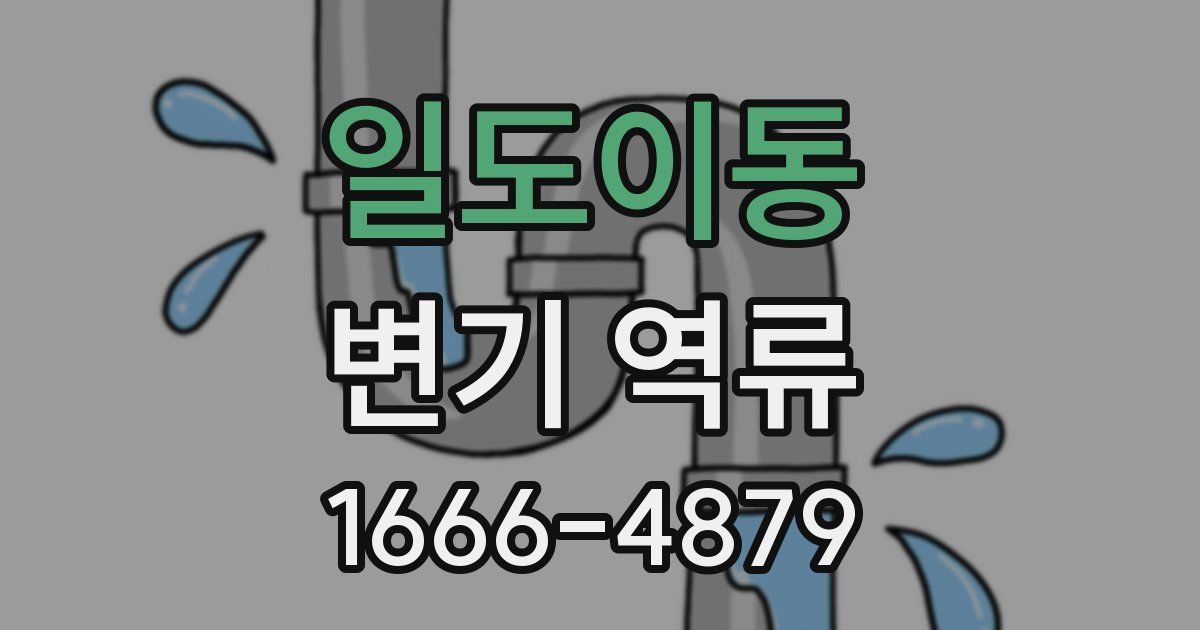 일도이동 변기 역류