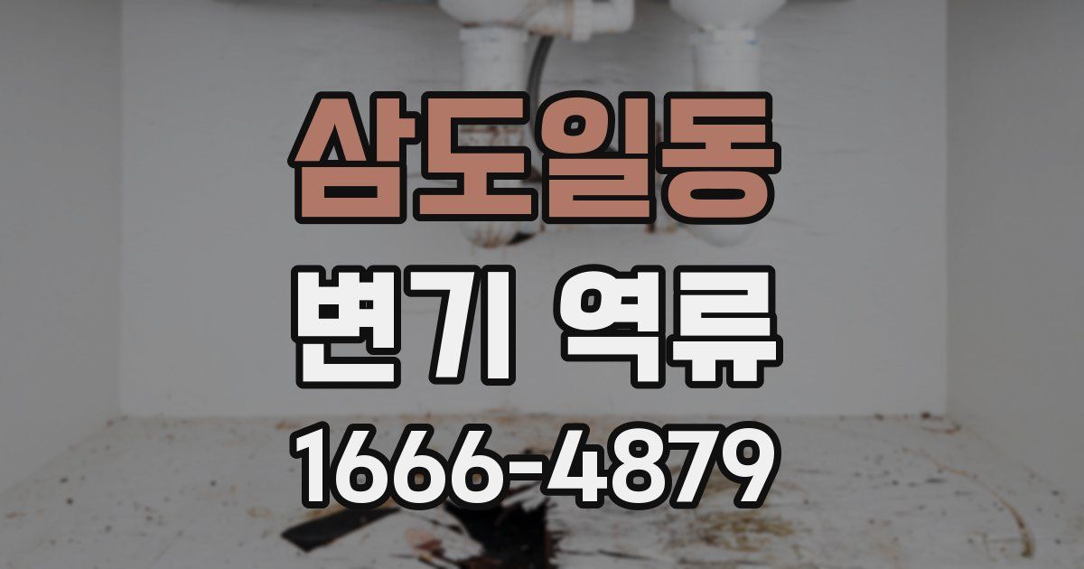 삼도일동 변기 역류
