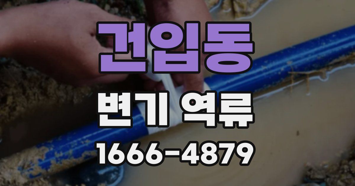 건입동 변기 역류