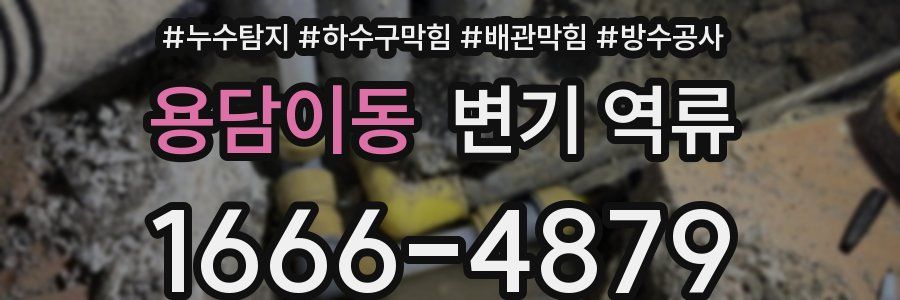 용담이동 변기 역류
