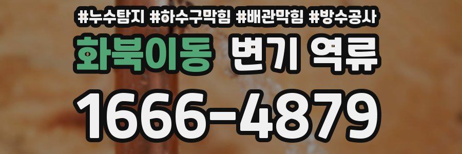 화북이동 변기 역류