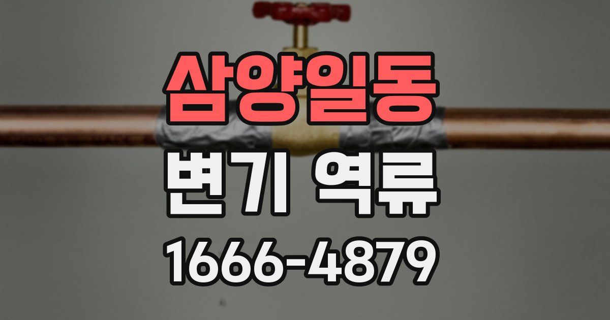 삼양일동 변기 역류