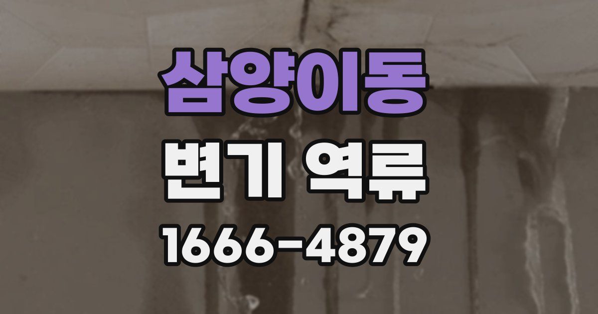 삼양이동 변기 역류