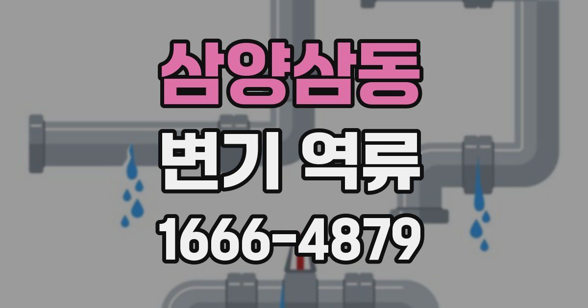 삼양삼동 변기 역류