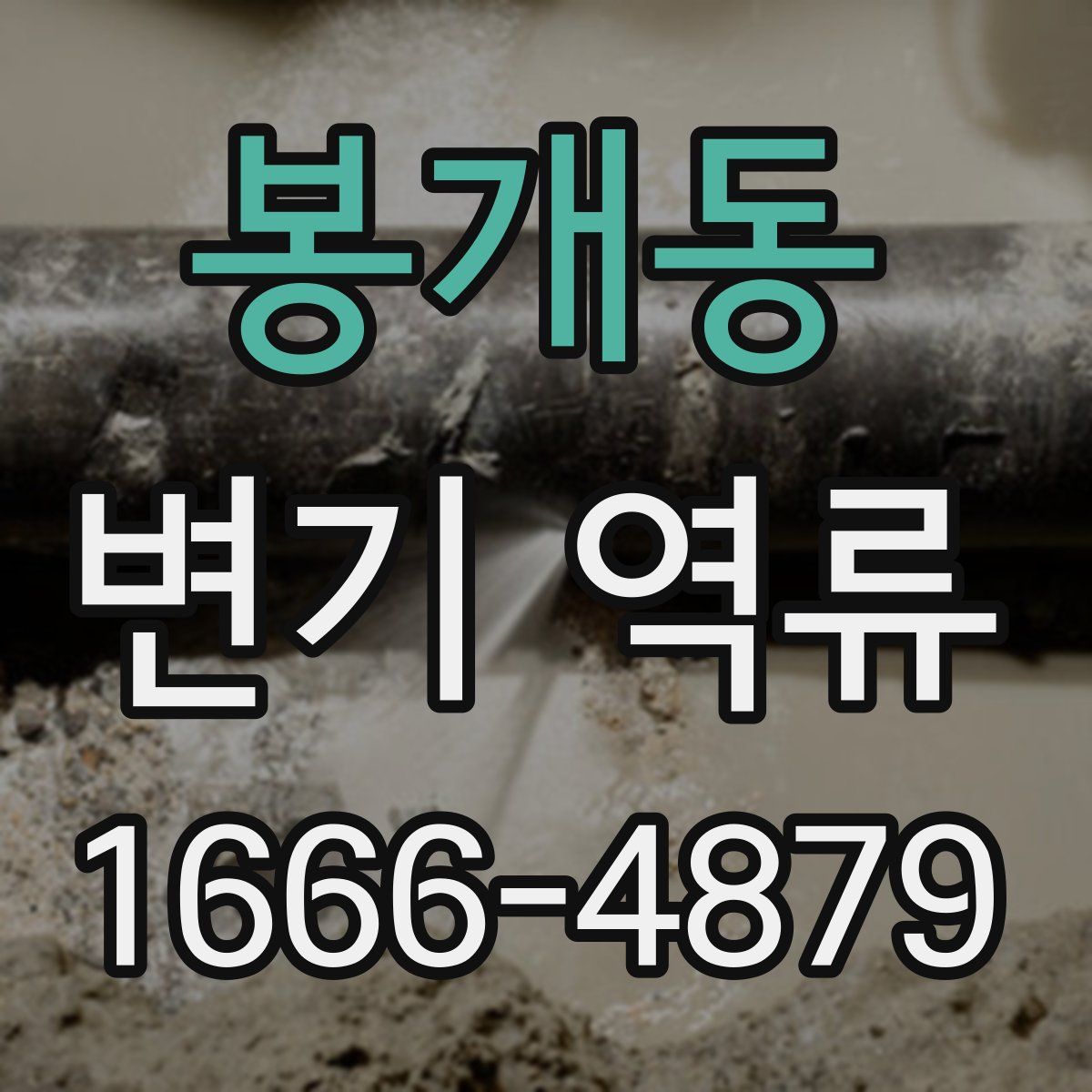 봉개동 변기 역류