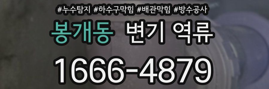 봉개동 변기 역류