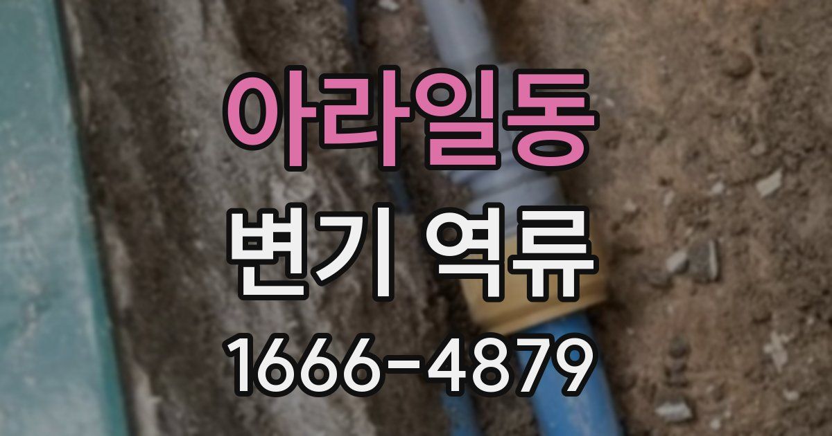 아라일동 변기 역류