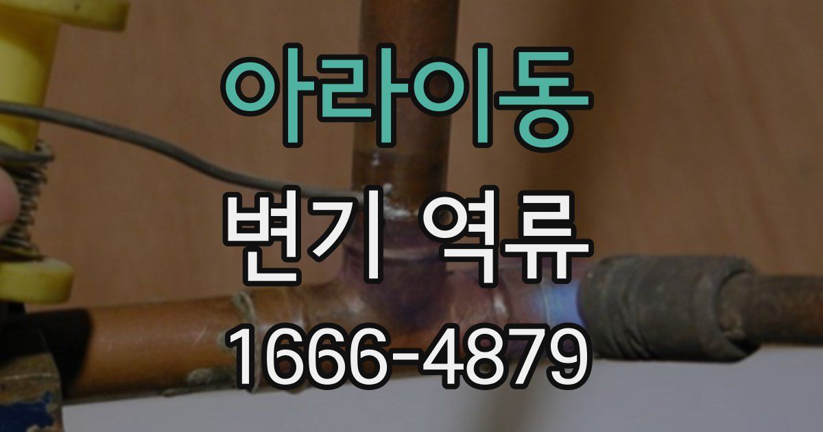 아라이동 변기 역류
