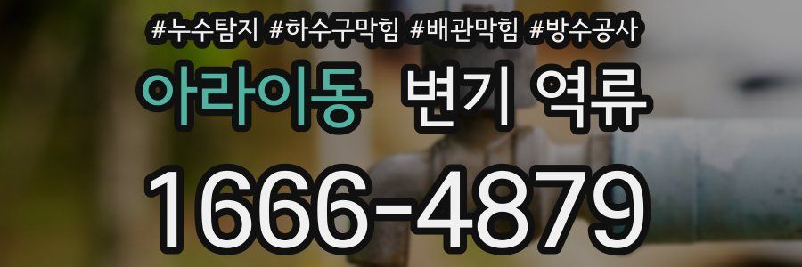 아라이동 변기 역류