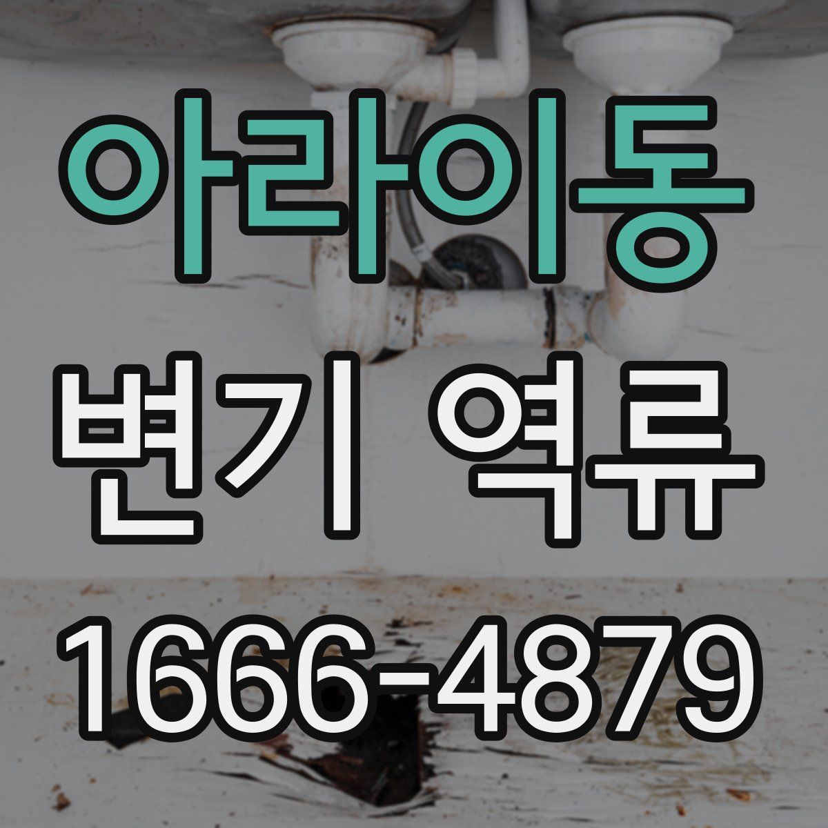 아라이동 변기 역류