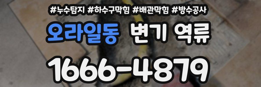 오라일동 변기 역류