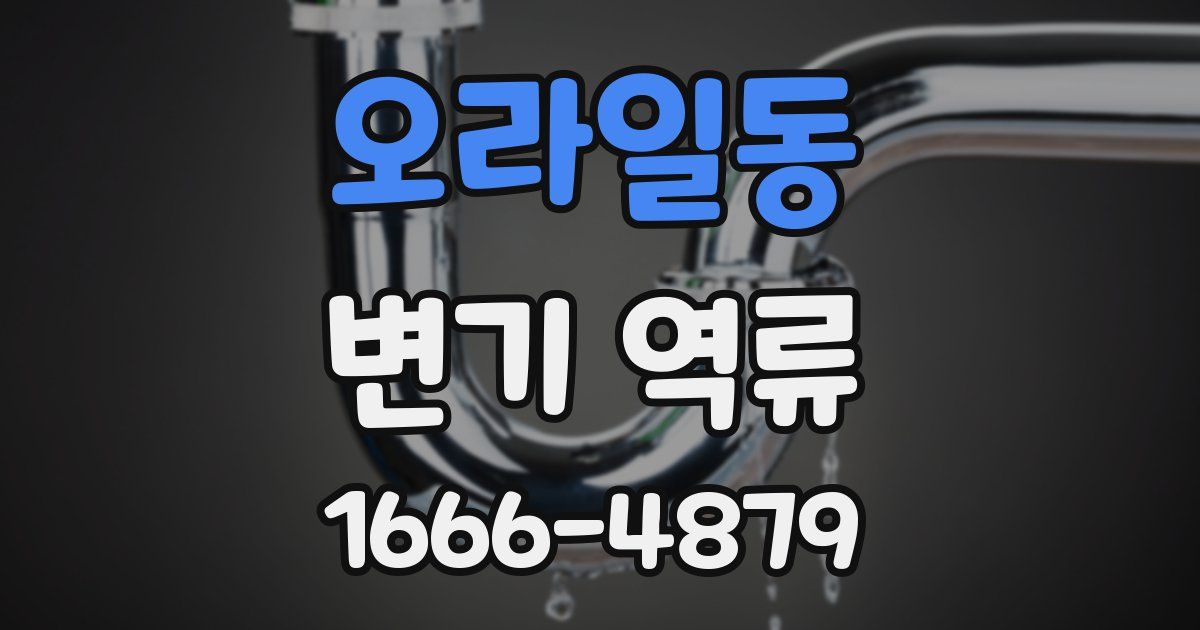 오라일동 변기 역류