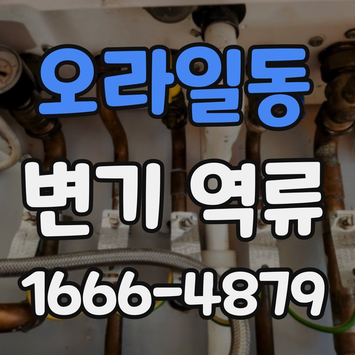 오라일동 변기 역류