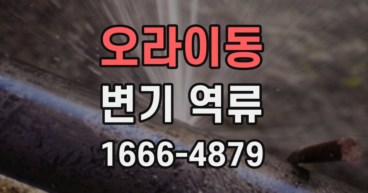 오라이동 변기 역류