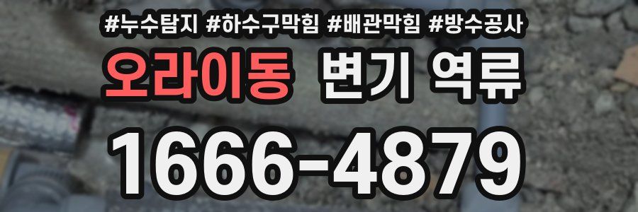 오라이동 변기 역류
