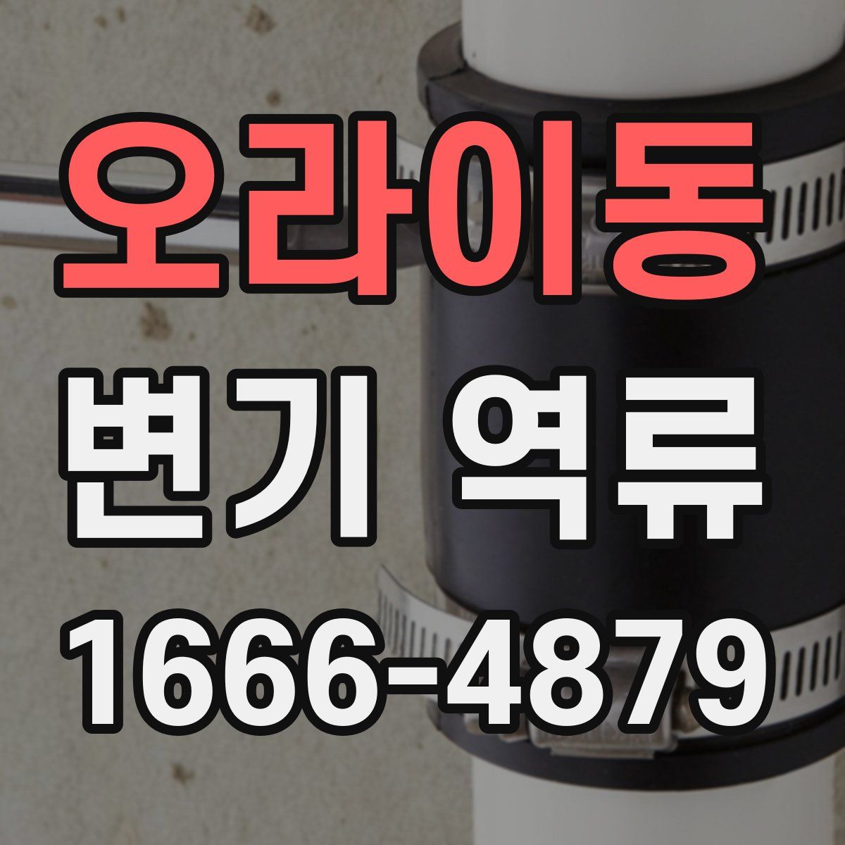 오라이동 변기 역류