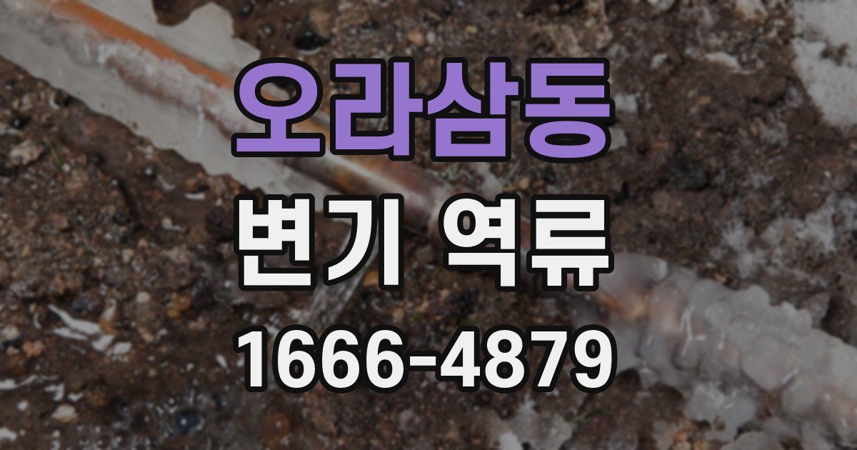 오라삼동 변기 역류