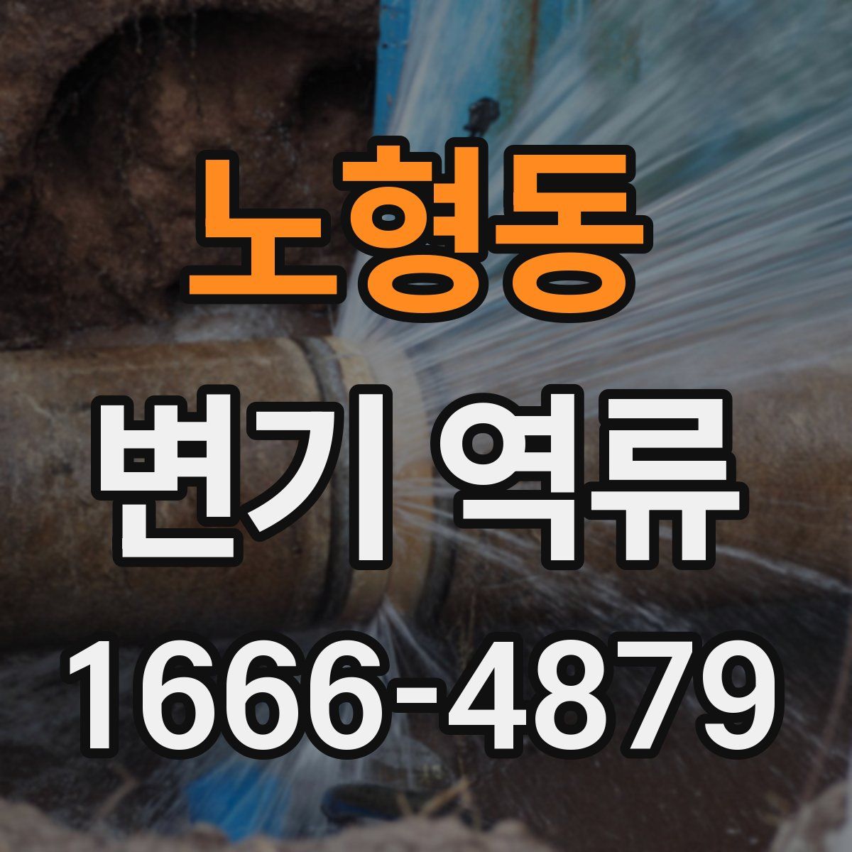 노형동 변기 역류