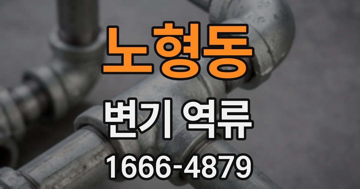 노형동 변기 역류