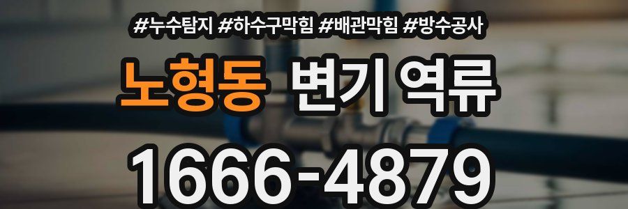 노형동 변기 역류