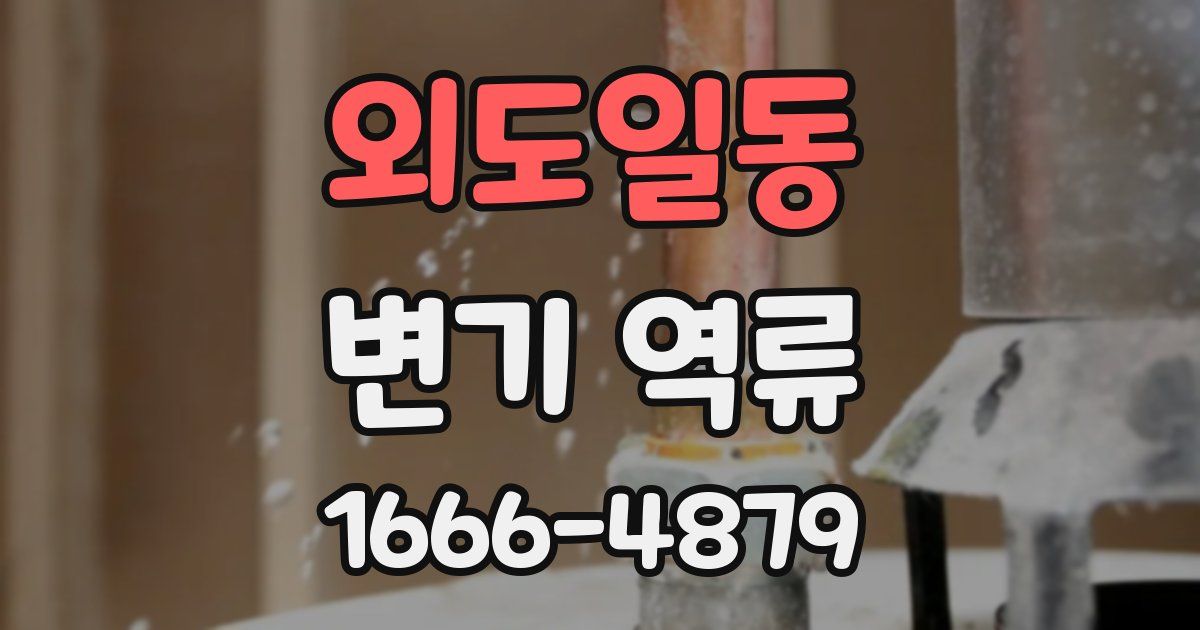 외도일동 변기 역류