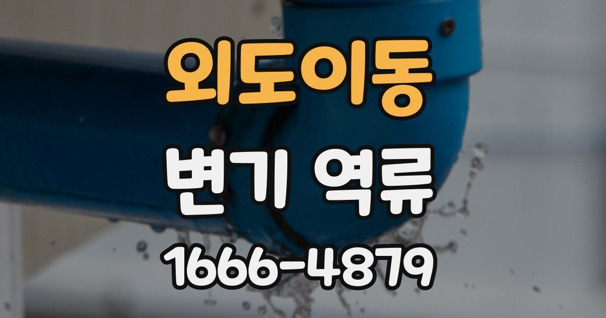 외도이동 변기 역류