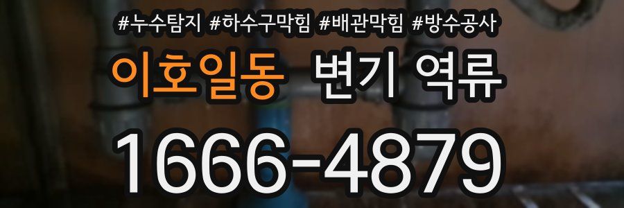 이호일동 변기 역류