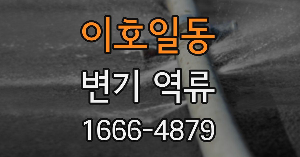 이호일동 변기 역류