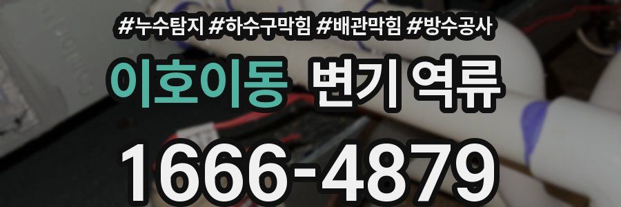 이호이동 변기 역류