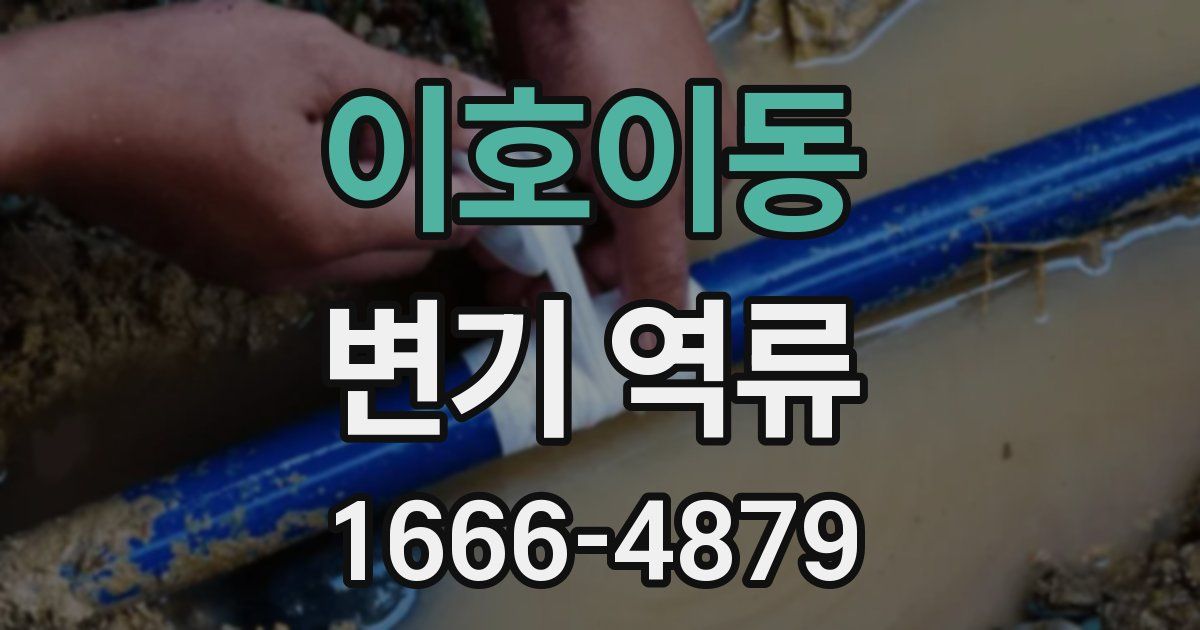 이호이동 변기 역류