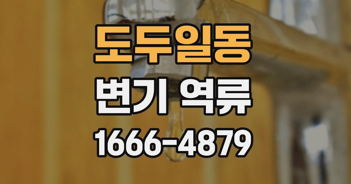 도두일동 변기 역류