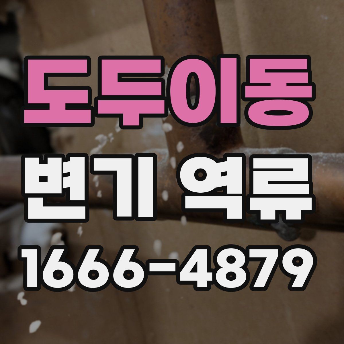 도두이동 변기 역류 냄새까지 동반되면 의심할 점
