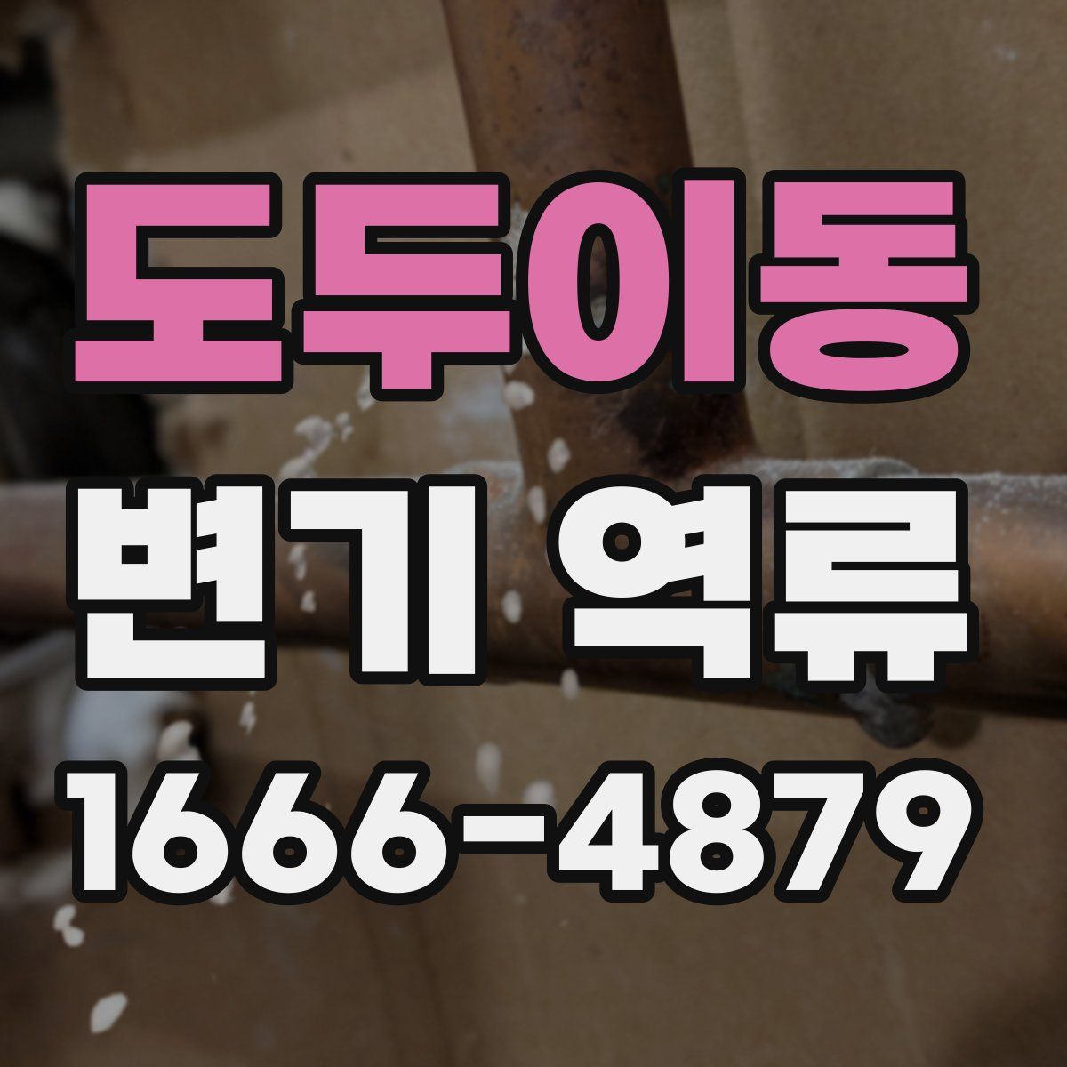 도두이동 변기 역류