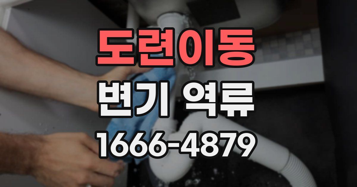 도련이동 변기 역류