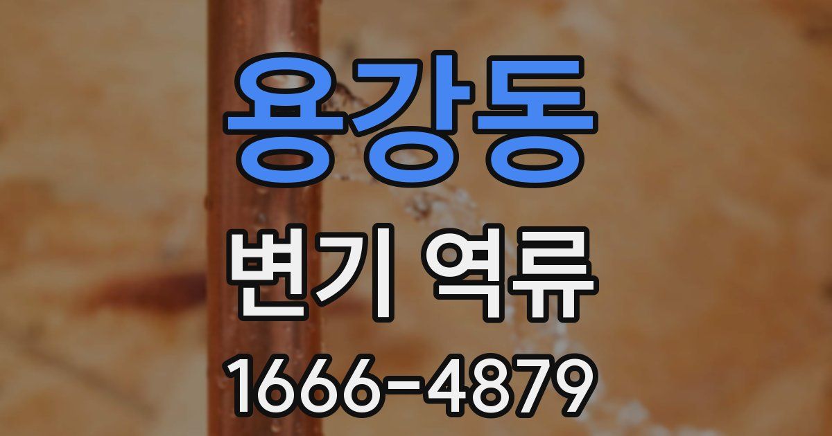 용강동 변기 역류