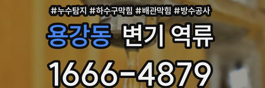 용강동 변기 역류