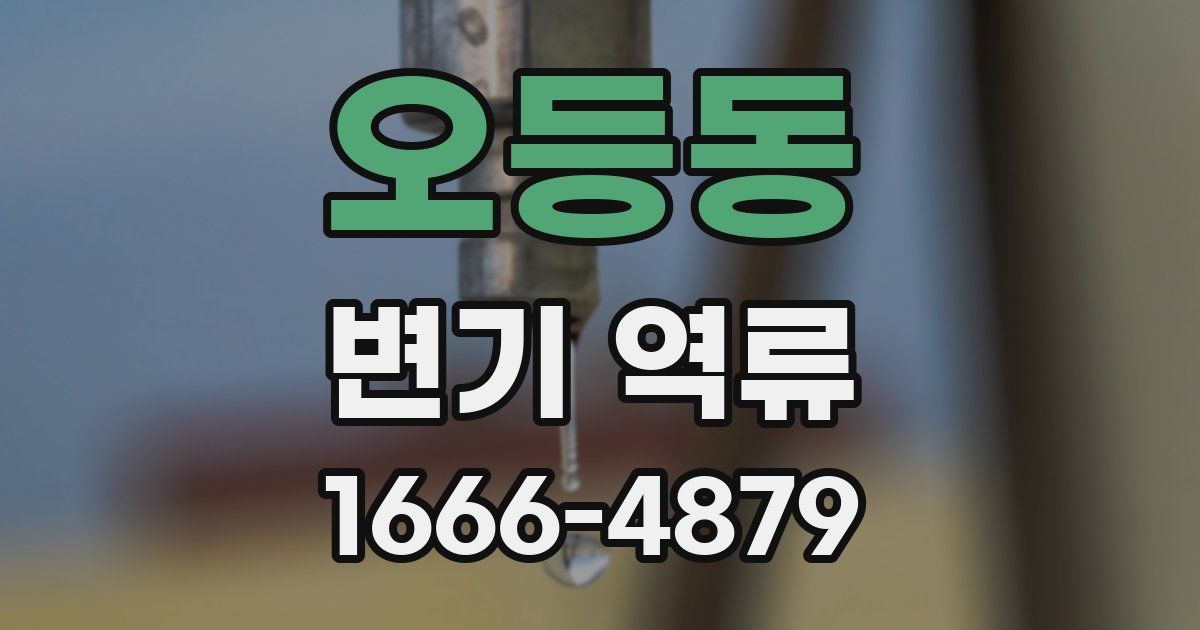 오등동 변기 역류