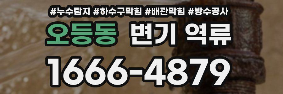 오등동 변기 역류