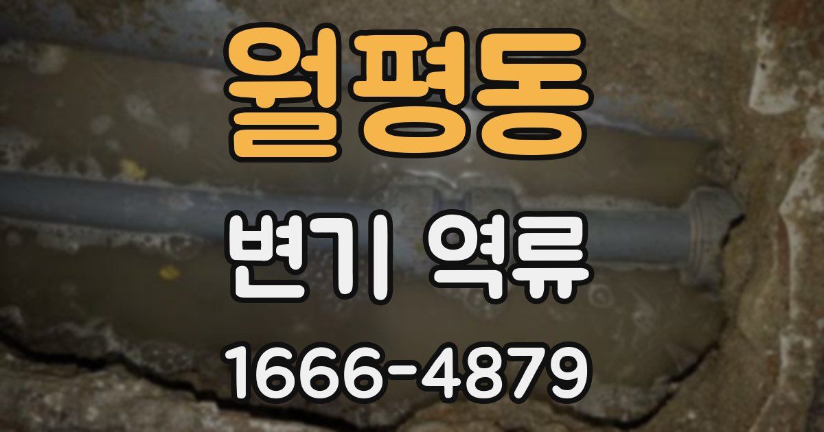 월평동 변기 역류
