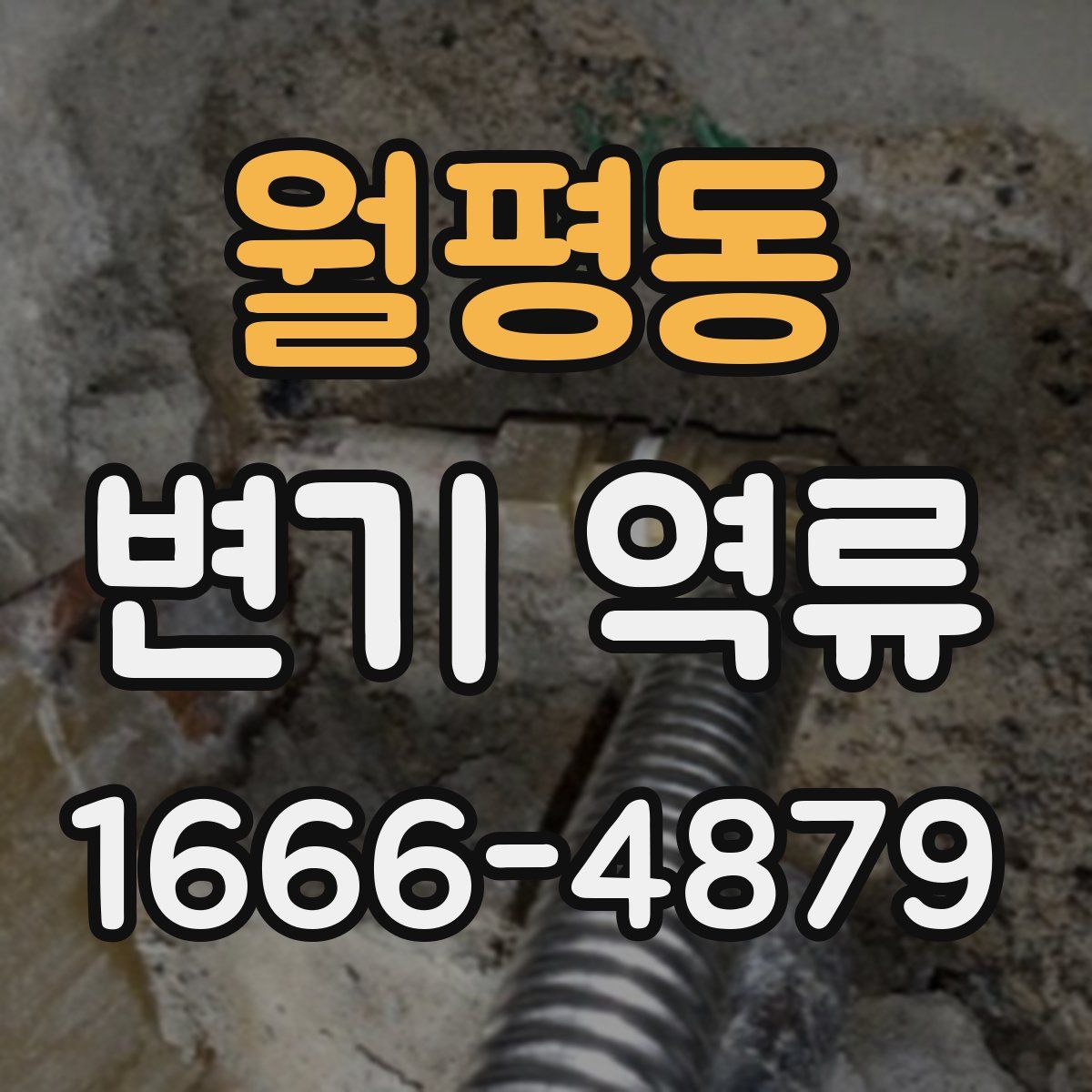 월평동 변기 역류