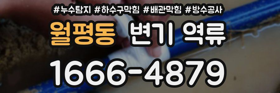 월평동 변기 역류