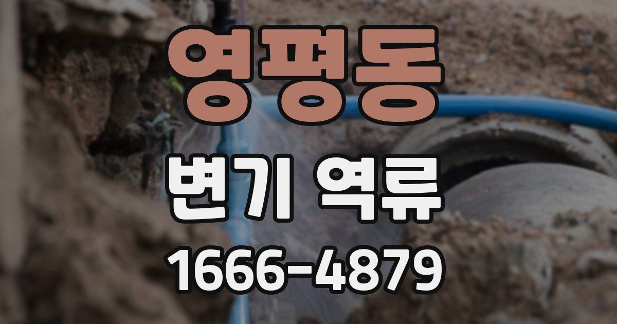 영평동 변기 역류